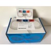 笃玛 犬干细胞因子(SCF) ELISA 试剂盒 产品简介