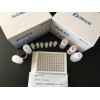 小鼠白细胞介素17F(IL-17F)定量检测试剂盒（ELISA）