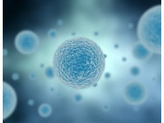小鼠白细胞介素17F(IL-17F)定量检测试剂盒（ELISA）图2
