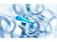 大鼠γ干扰素（IFN-γ)ELISA 定量检测试剂盒图2