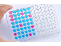 大鼠γ干扰素（IFN-γ)ELISA 定量检测试剂盒图3