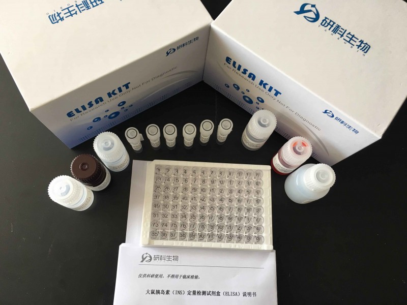 大鼠白介素1α(IL-1α) ELISA试剂盒