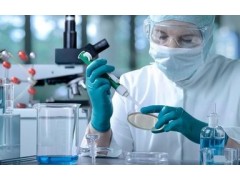 人白介素2可溶性受体α链（sIL-2Ra）ELISA试剂盒图2