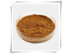 厂家直供 草珊瑚提取物  热销产品图2