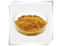 厂家直供 草珊瑚提取物  热销产品图3