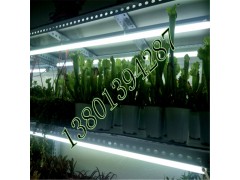 北京鸿商祺科技供应植物组培架/组培设备/植物生长灯，质优价廉，做工考究图3