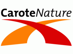 FITC标记硫酸葡聚糖分子量10000 FITC-dextran sulphate 10图3