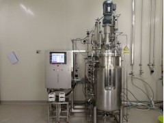 磁力搅拌发酵罐（200L）图2