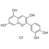 矢车菊色素 Cyanidin chloride美国进口