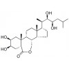 NORBRASSINOLIDE (NBI)上海惠诚进口