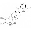 HOMOBRASSINOLIDE (HBI)高油菜素内酯惠诚进口