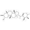 6-DEOXO-24-EPICASTASTERONE (EBd)惠诚进口