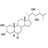 TRIS-EPICASTASTERONE(TEBk)上海惠诚进口