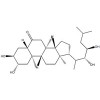 BRASSINONE上海惠诚生物进口