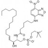 N-Hexanoyl-NBD-sphingosylphosphorylcholine惠诚