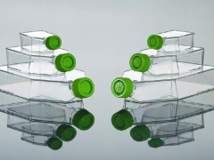 上海晶安多聚赖氨酸包被处理细胞培养瓶 细胞培养板 细胞培养皿厂家 定做PLL包被处理培养皿图2