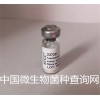 百欧博伟生物 ATCC BAA-255 肺炎链球菌