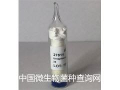 微生物查询网 ATCC 29419 绵羊肺炎支原体图1