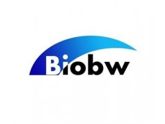 BIOBW生物 自建细胞系 SCC-25人舌磷癌细胞图2