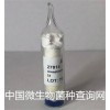 副短短芽孢杆菌 ATCC 10027 微生物查询网