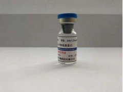 重组人趋化因子配体CXCL​9图1