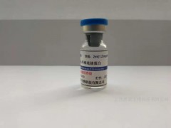 CCL2重组人趋化因子配体2图1