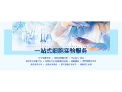 生物实验课题外包服务 分子生物相关实验 引物合成 DNA基因测序 免疫实验图2