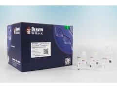 DNA片段筛选试剂盒(磁珠法) 70407-450