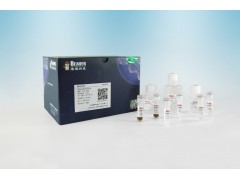 PCR产物纯化试剂（磁珠法）
