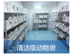 动物模型构建服务图2