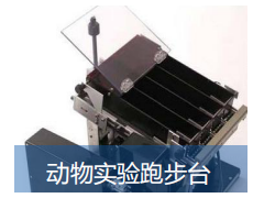 动物模型构建服务图3