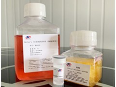 细胞株，传代细胞提供图2