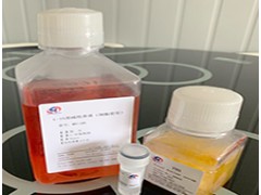 细胞株，传代细胞提供图3
