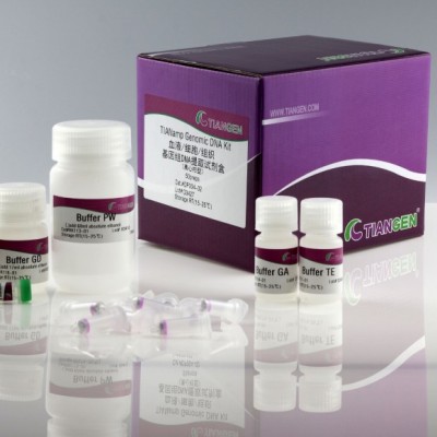 血液细胞组织基因组DNA提取试剂盒（DP304）