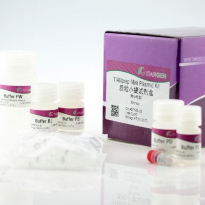 质粒小提试剂盒（DP103）