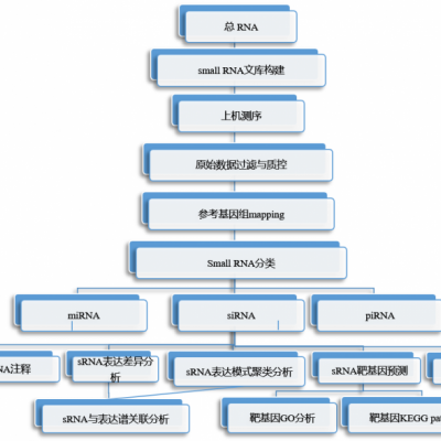 RNA免疫共沉淀测序