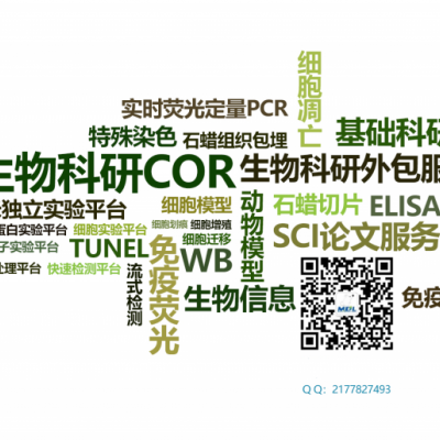 【不得不知的】动物肝炎模型种类？