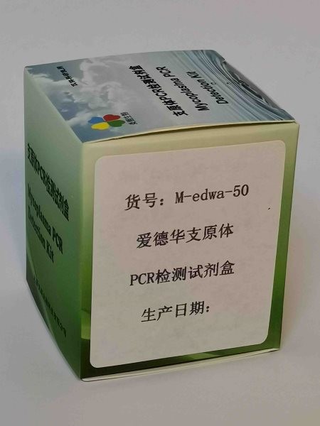 爱德华支原体PCR检测试剂盒图5