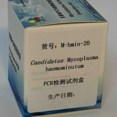 Mycoplasma haemominutum PCR试剂盒