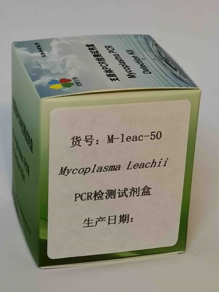 Mycoplasma Leachii  PCR检测试剂盒图2