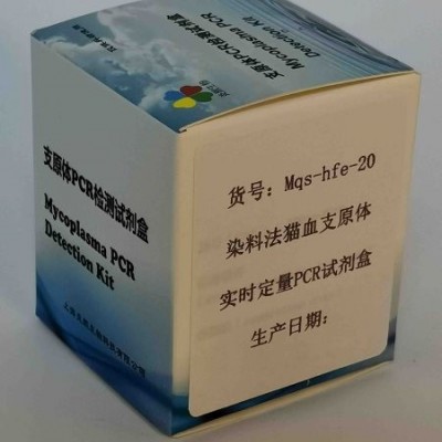 染料法猫血支原体实时定量PCR试剂盒