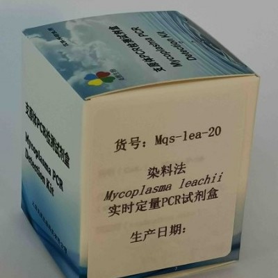 染料法Mycoplasma leachii定量PCR试剂盒