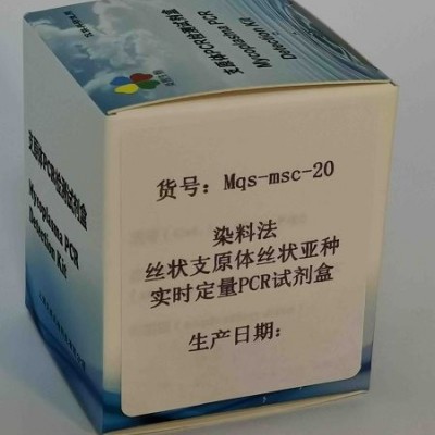 染料法丝状支原体丝状亚种实时定量PCR试剂盒