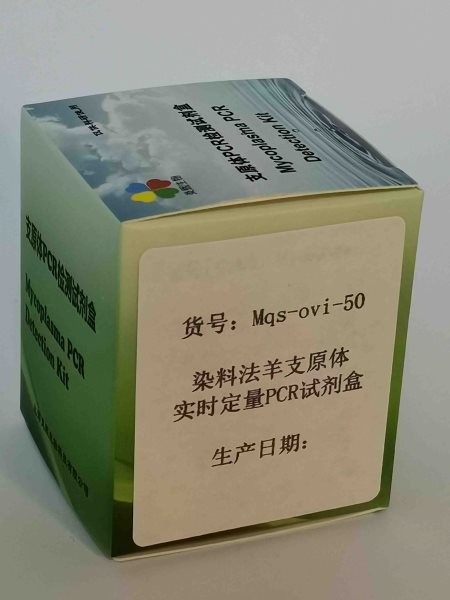 染料法羊支原体实时定量PCR试剂盒图2