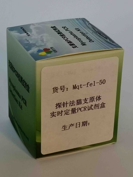 探针法猫支原体实时定量PCR试剂盒图2