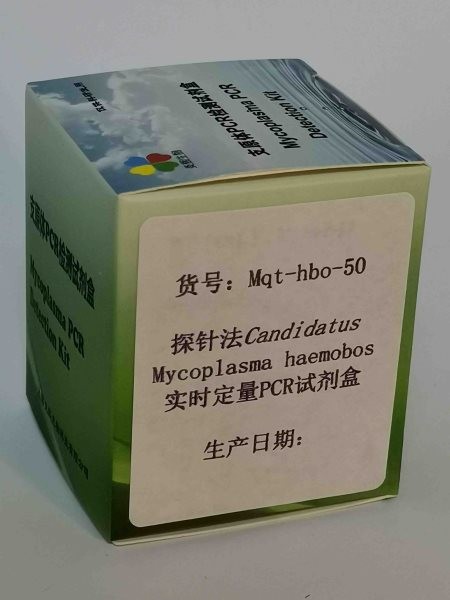 探针法M. haemobos实时定量PCR试剂盒图2