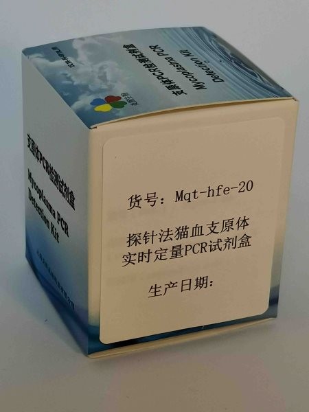 探针法猫血支原体实时定量PCR试剂盒图1