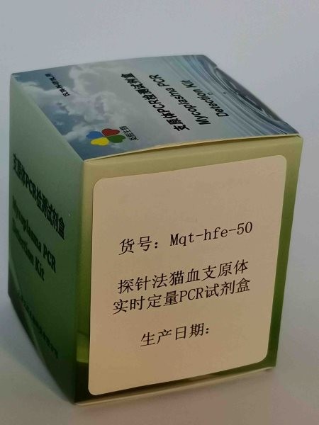 探针法猫血支原体实时定量PCR试剂盒图2