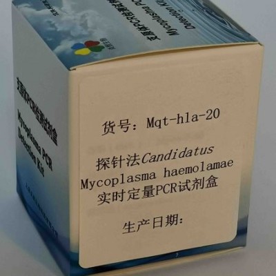 探针法M. haemolamae实时定量PCR试剂盒