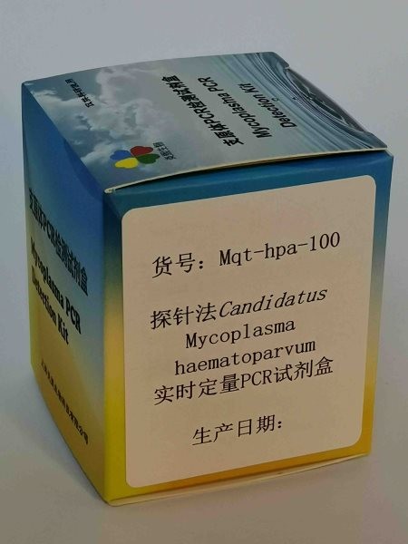 探针法M. haematoparvum实时定量PCR试剂盒图2